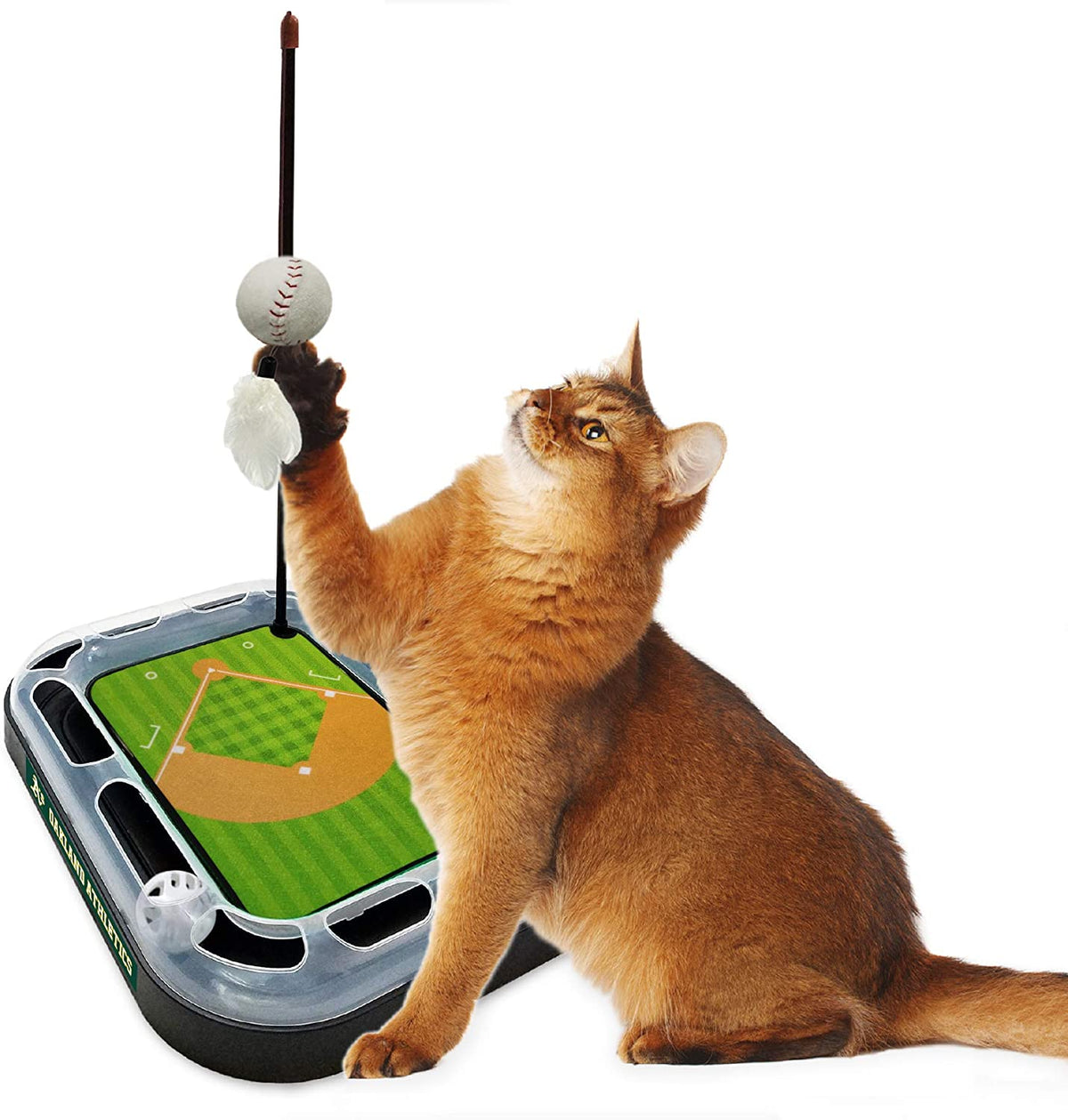 Oakland Athletics Baseball Cat Scratcher Toy