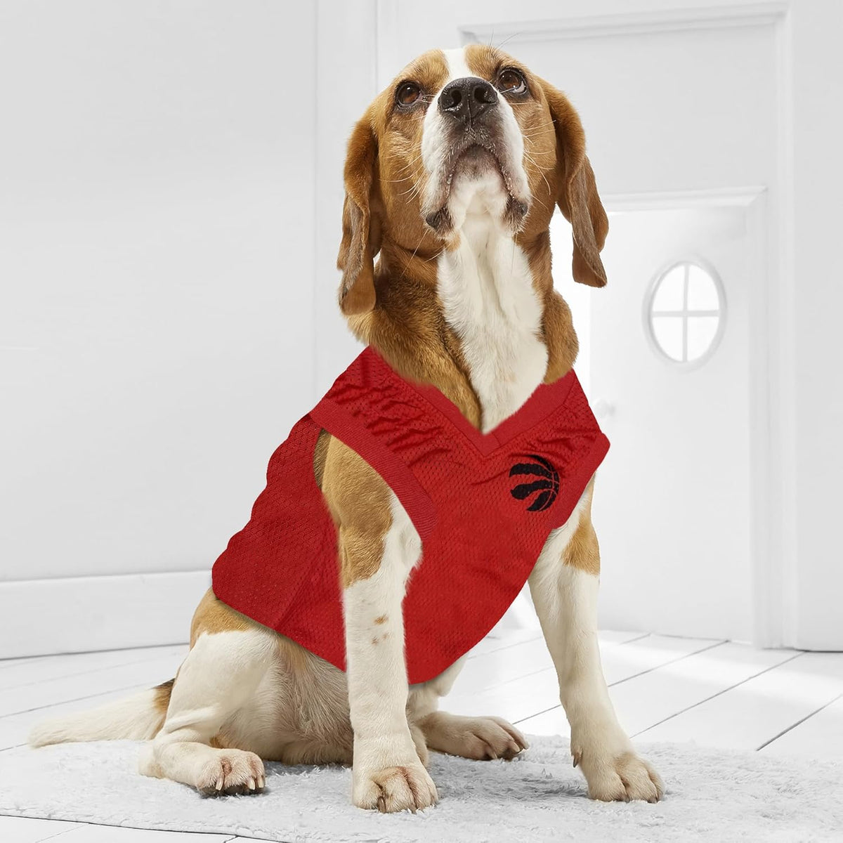 Toronto Raptors Pet Jersey