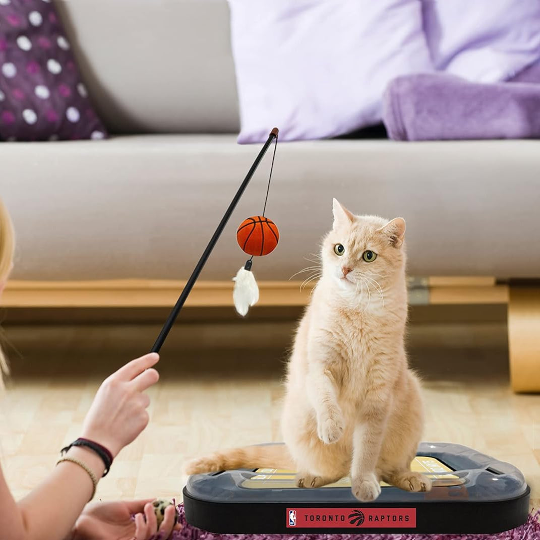 Toronto Raptors Basketball Cat Scratcher Toy