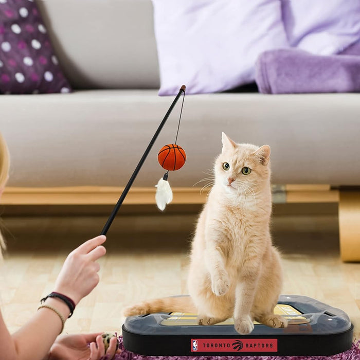 Toronto Raptors Basketball Cat Scratcher Toy