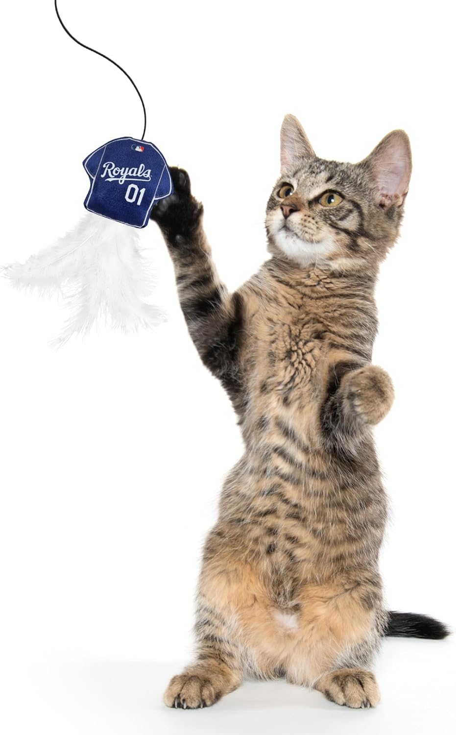 Kansas City Royals Team Jersey Wand with Cat Nip