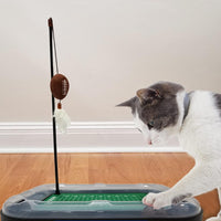 Louisville Cardinals Football Cat Scratcher Toy