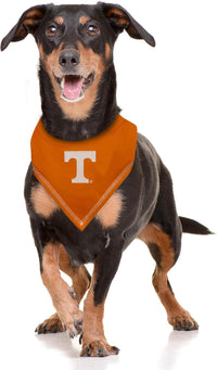 TN Volunteers Tie-On Bandana