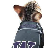 WA Huskies Cat Jersey