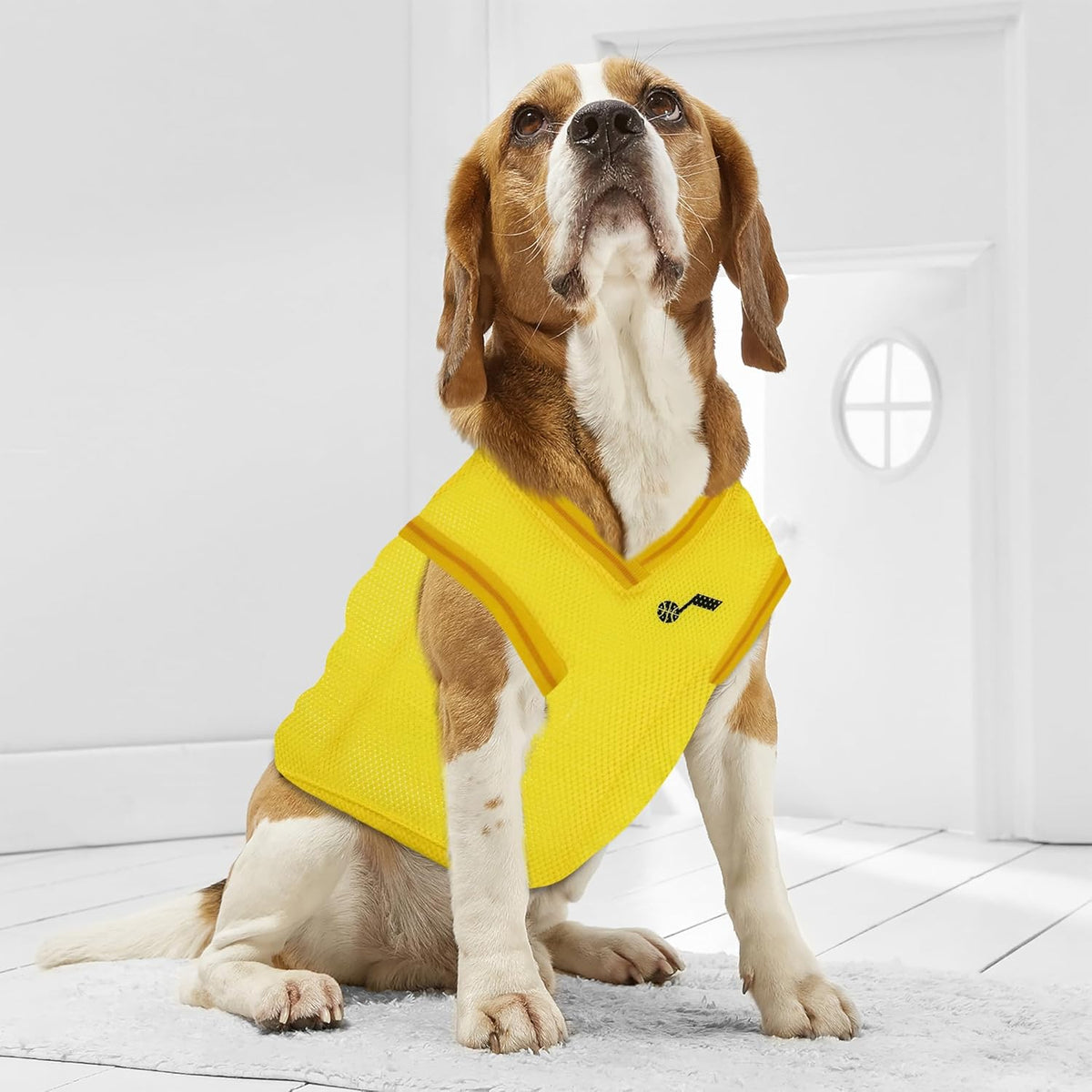 Utah Jazz Pet Jersey