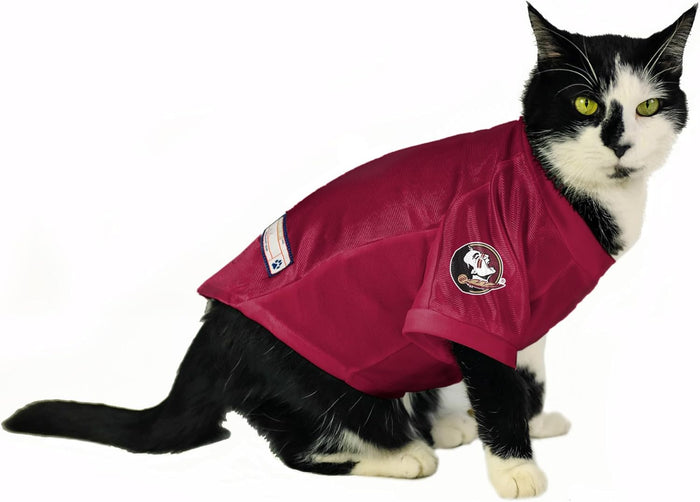 FL State Seminoles Cat Stretch Jersey