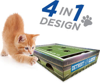 Detroit Lions Football Stadium Cat Scratcher Toy