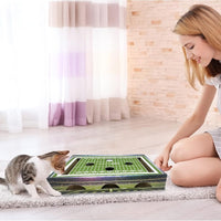 WV Mountaineers Football Stadium Cat Scratcher Toy