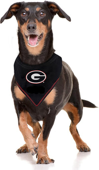 GA Bulldogs Tie-On Bandana