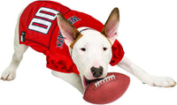 AZ Wildcats Pet Jersey