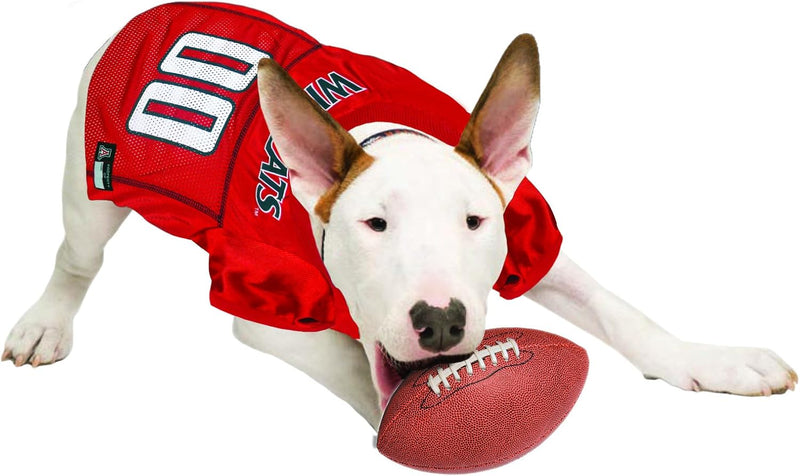 AZ Wildcats Pet Jersey