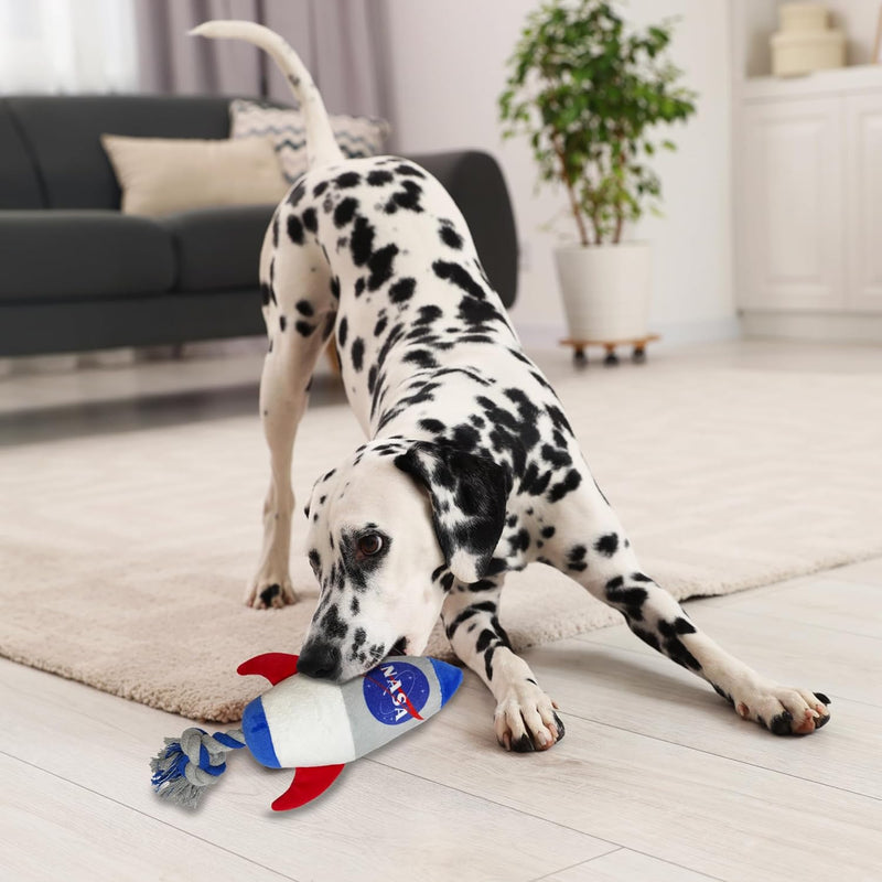 NASA Rocket Rope Toy