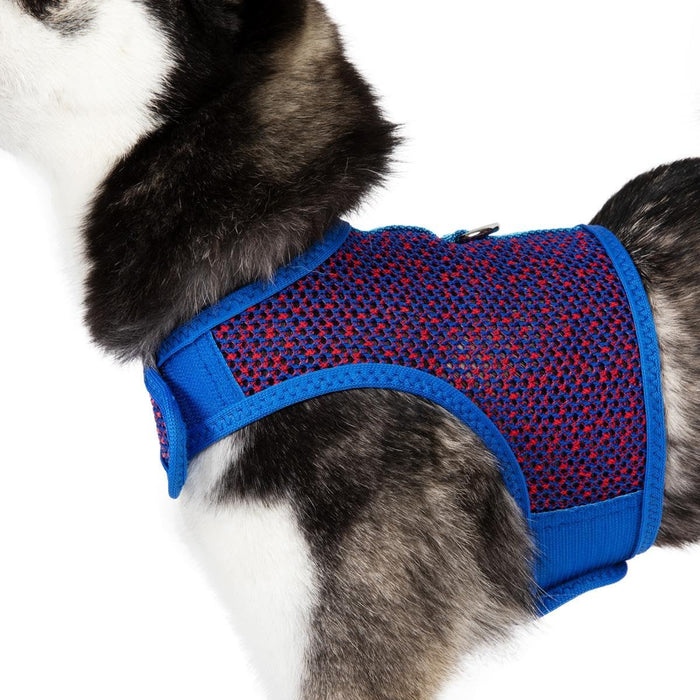 Active Mesh Pet Harness with Leash - Blue and Red