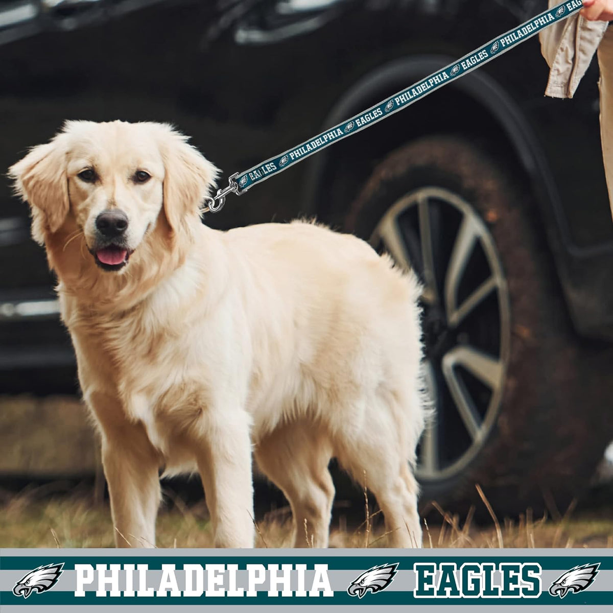 Philadelphia Eagles Dog Satin Collar or Leash