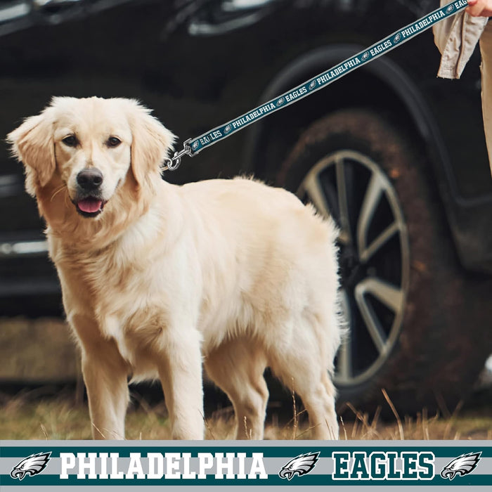 Philadelphia Eagles Dog Satin Collar or Leash