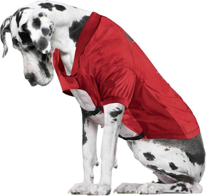 Washington Commanders Big Dog Stretch Jersey