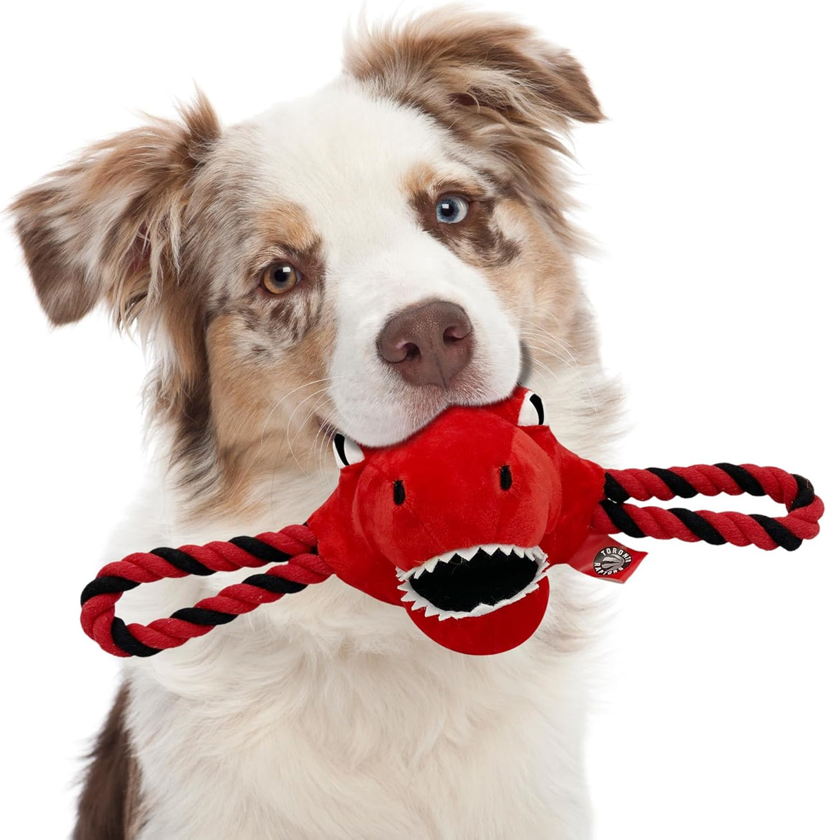 Toronto Raptors Mascot Rope Toys