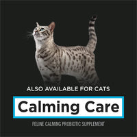 Purina Calming Care Canine Probiotic Supplement - 30 g Powder