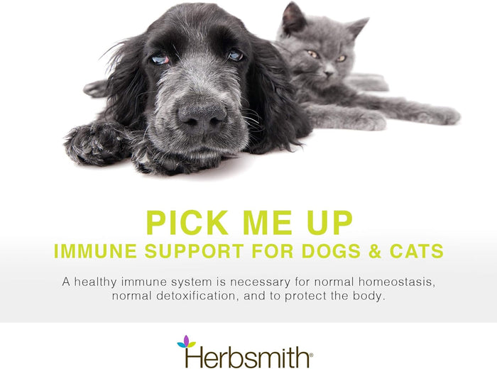 Herbsmith Support Immunity for Dogs & Cats