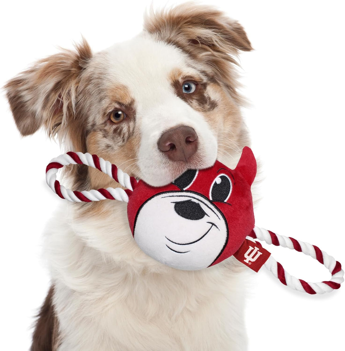 IN Hoosiers Mascot Rope Toys