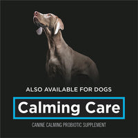 Purina Calming Care Feline Probiotic Supplement - 30 g Powder