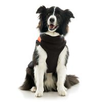 Zip Up Sherpa Vest Original