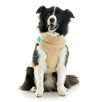 Zip Up Sherpa Vest Original