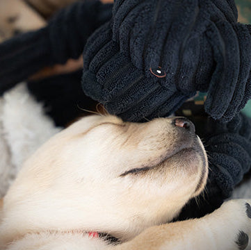 HuggleCause™, Warrior Canine Connection, Black Lab Luke Knottie® Plush Dog Toy, Large