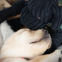 HuggleCause™, Warrior Canine Connection, Black Lab Luke Knottie® Plush Dog Toy, Large