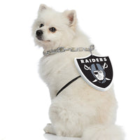 Las Vegas Raiders Pet Fan Chain