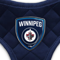 Winnipeg Jets Velvet Harness