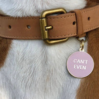 Can't Even Pet ID Tag