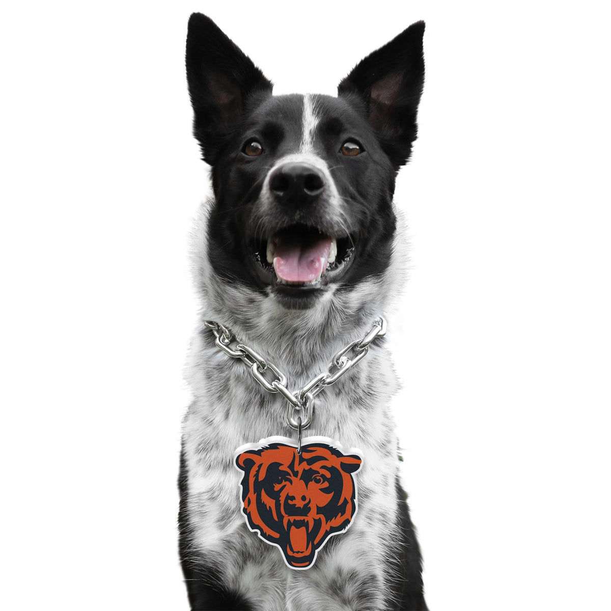 Chicago Bears Pet Fan Chain