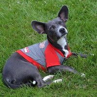 OK Sooners Lightweight Pet Hoodie