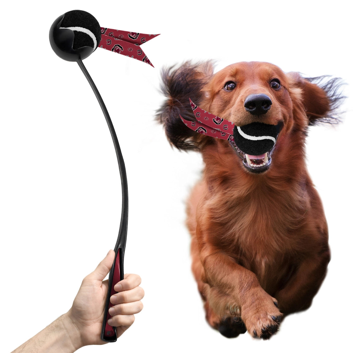 SC Fighting Gamecocks Pet Ball Launcher Toy