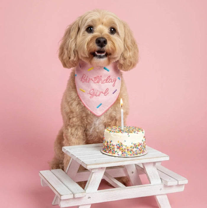 Birthday Girl Pet Bandana