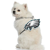 Philadelphia Eagles Pet Fan Chain