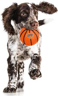 New York Knicks Hard Nylon Basketball Chew Toy