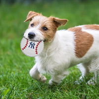 New York Yankees Hard Nylon Baseball Chew Toy