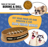 Purdue Boilermakers Football Slow Feeder Bowl