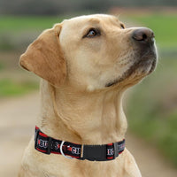 Chicago Bulls Dog Satin Collar or Leash