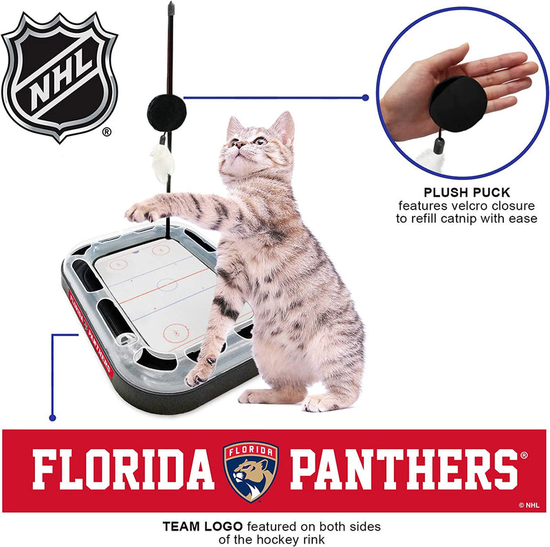 Florida Panthers Hockey Rink Cat Scratcher Toy