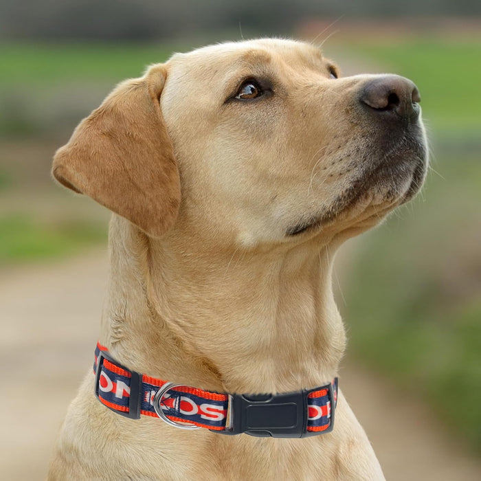 Denver Broncos Dog Satin Collar or Leash