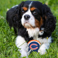 Chicago Bears Tennis Balls - 2 Pack
