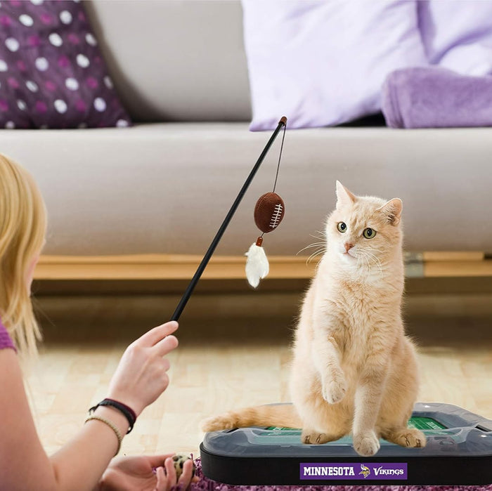 Minnesota Vikings Football Cat Scratcher Toy