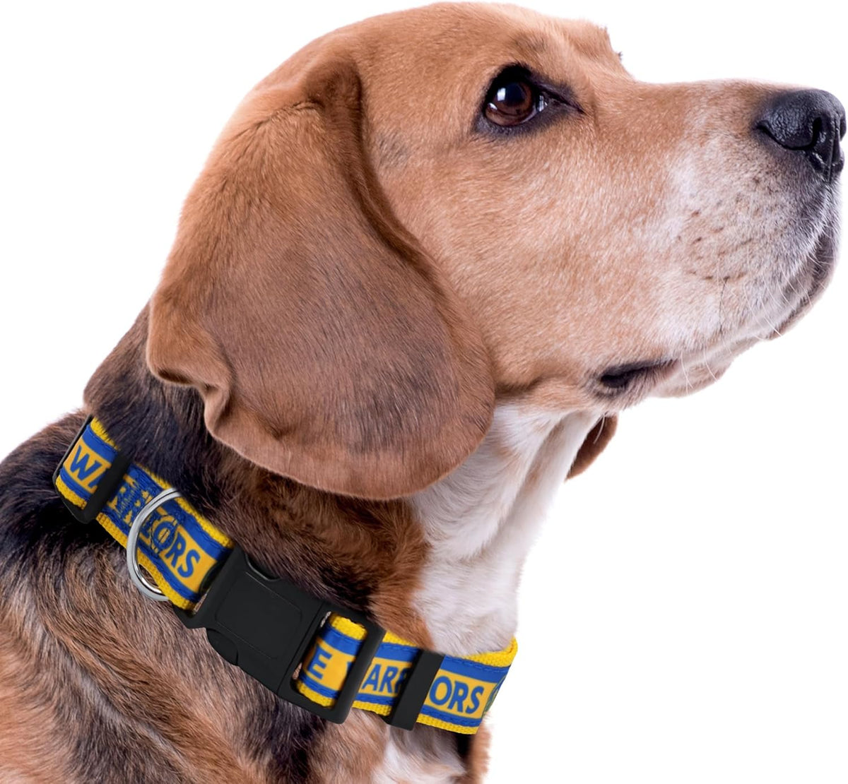Golden State Warriors Dog Satin Collar or Leash