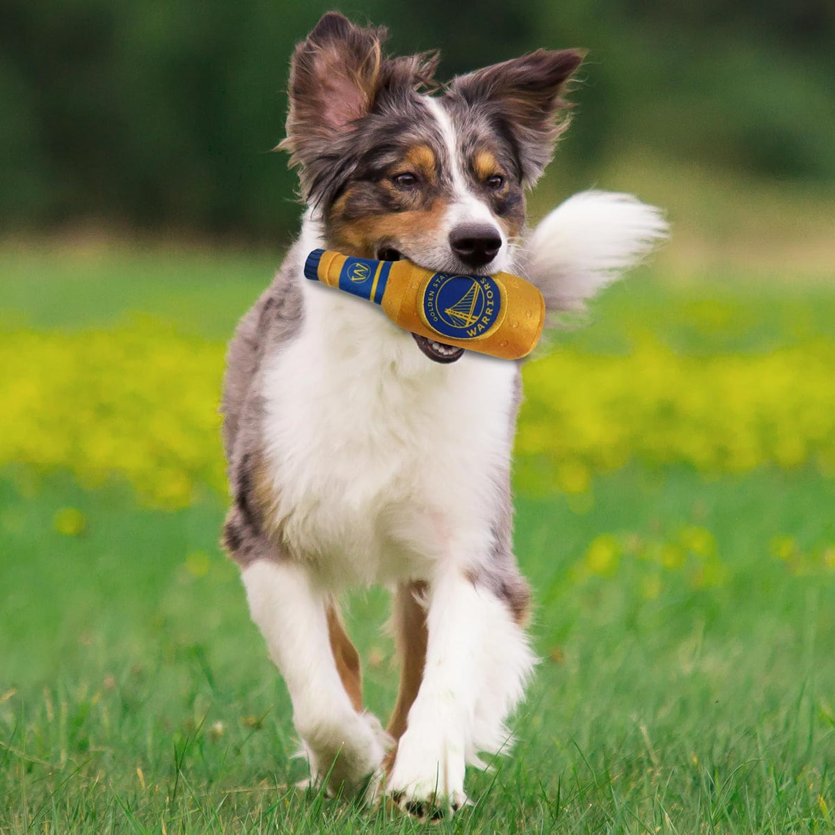 Golden State Warriors Bottle Plush Toys
