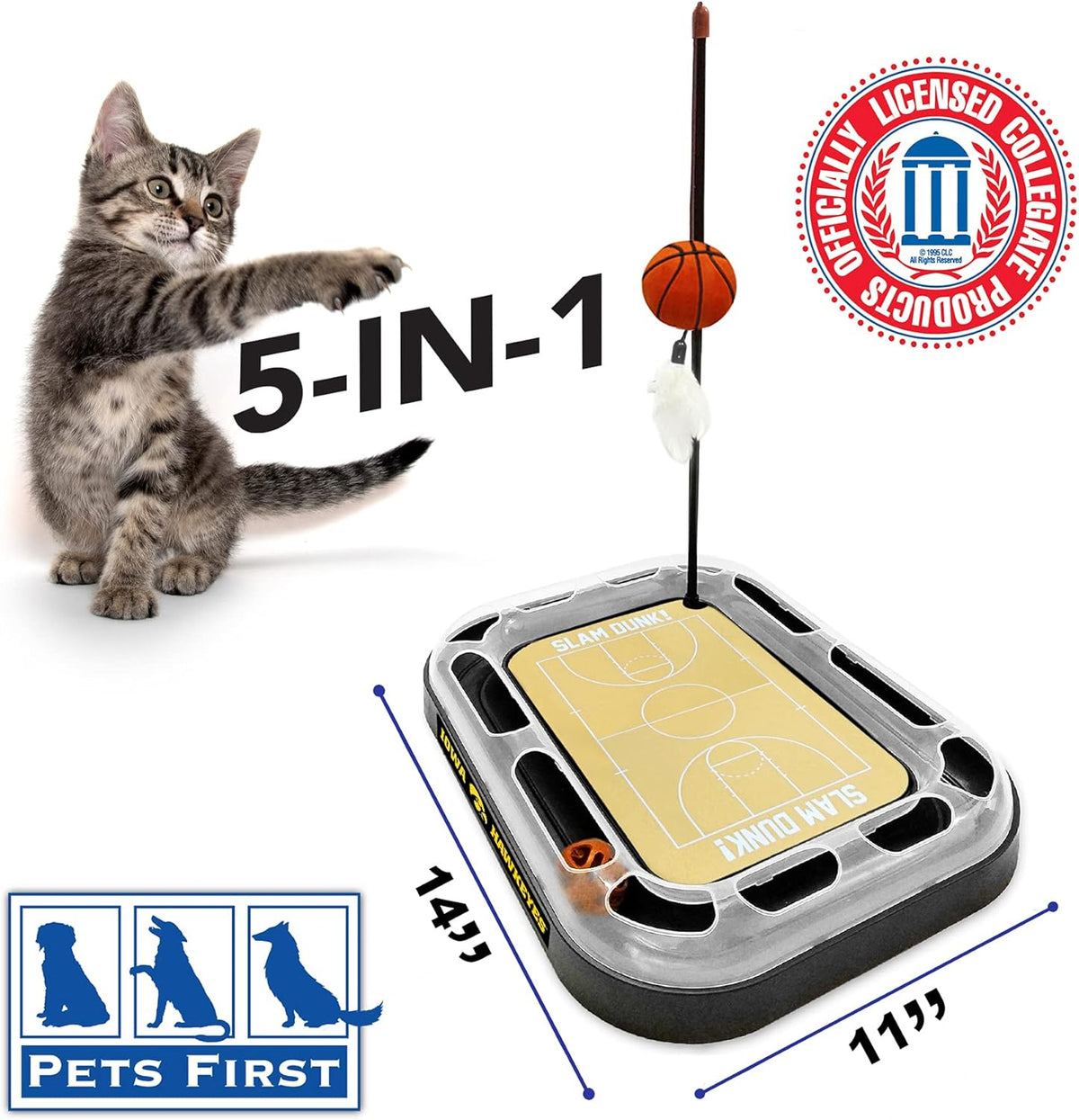 IA Hawkeyes Football Cat Scratcher Toy