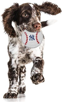 New York Yankees Hard Nylon Baseball Chew Toy