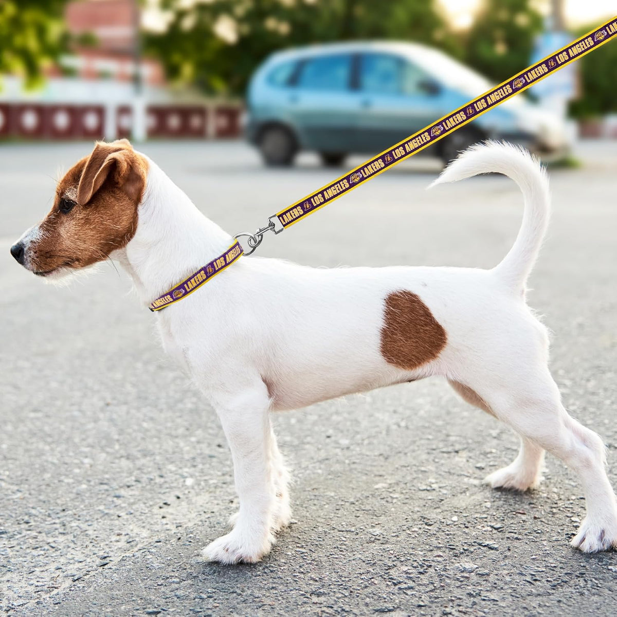 Los Angeles Lakers Dog Satin Collar or Leash
